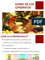 METABOLISMO DE LOS HC - Diapositivas