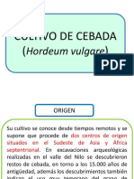 Cebada PDF