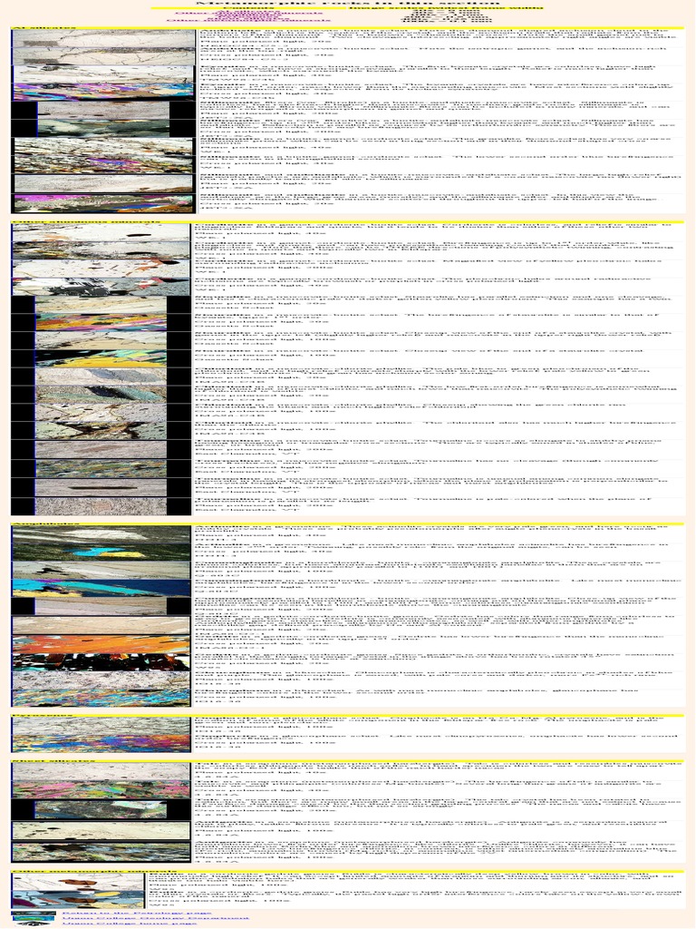 Metamorphic Rocks In Thin Section Pdf Minerals Polarization Waves