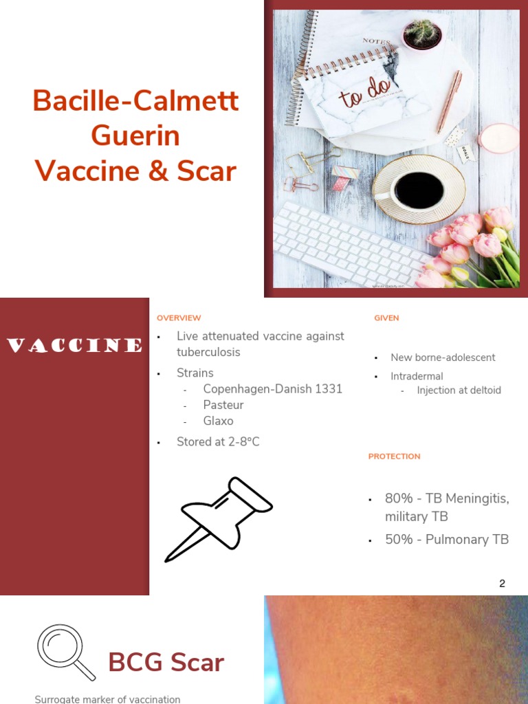 BCG Vaccine Overview and Efficacy | PDF