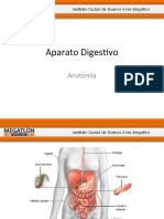 Aparato Digestivo Anatomía Clase