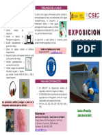 TRIPTICO RUIDO.pdf