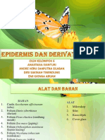 RSPN Epidermis Dan Derivatnya Kelompok 6