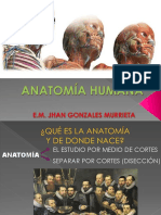 01 Anatomía Humana - Introducción