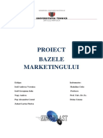 Proiect Marketing Zinc-Plast