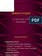 1. Fisiologi Sistem Urogenital (Dr. Hadi)