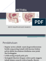 Ruptur Urethra