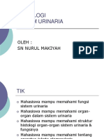 Histologi Sistem Urinaria: Oleh: SN Nurul Makiyah