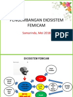 Pengembangan Ekosistem Femicam