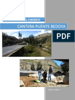 Informe - Cantera Bedoya