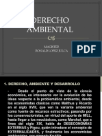 Derecho Ambiental