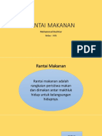 Rantai Makanan Tiar