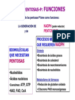 Ciclo de las pentosas T17-COMPLETO-pagina.pdf