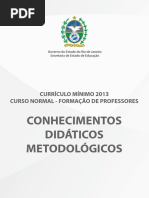 Conhecimentos Didáticos Metodológicos_livro