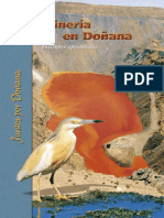 Mineria en Doñana 2001