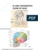 AnatomicTopograhicRegions Head