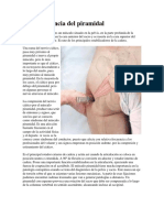 La importancia del piramidal o músculo piriforme.docx