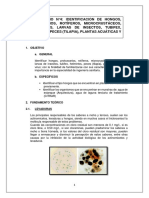 281486324-LABO4-MICROBIOLOGIA-SANITARIA-2.pdf