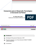 06_PEP_PEMEX.pdf