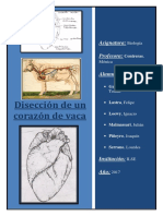 Tp Sistema Circulatorio Biologia 2018