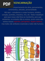 Curso de Médiuns Aula 20 - Reencarnação (Ribeiro)