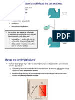 Factores_que_afectan_la_actividad_de_las.pdf