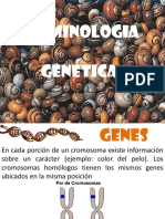 3. CONCEPTOS DE GENETICA.pptx