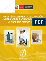 Guía Técnica VNA Adulto Mayor.pdf