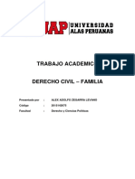 Derecho Civil Familia Trabajo Academico