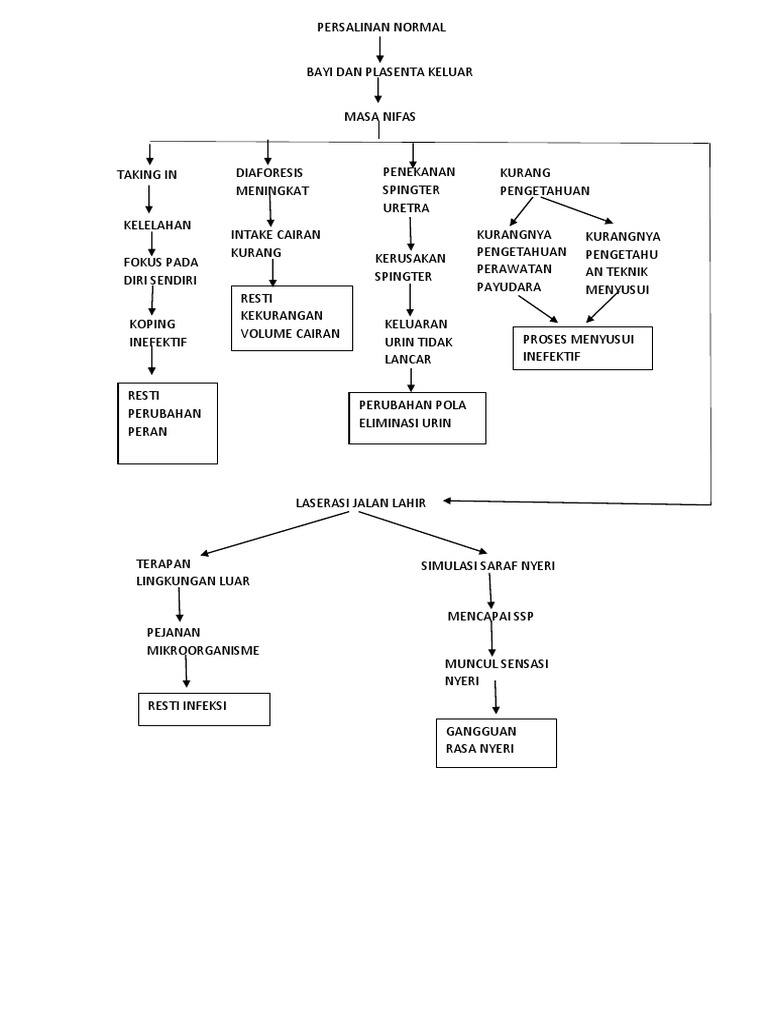 Veb-kamerada onanizm qilayotgan qizlarning onlayn videosi