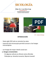 1. Micología.pdf