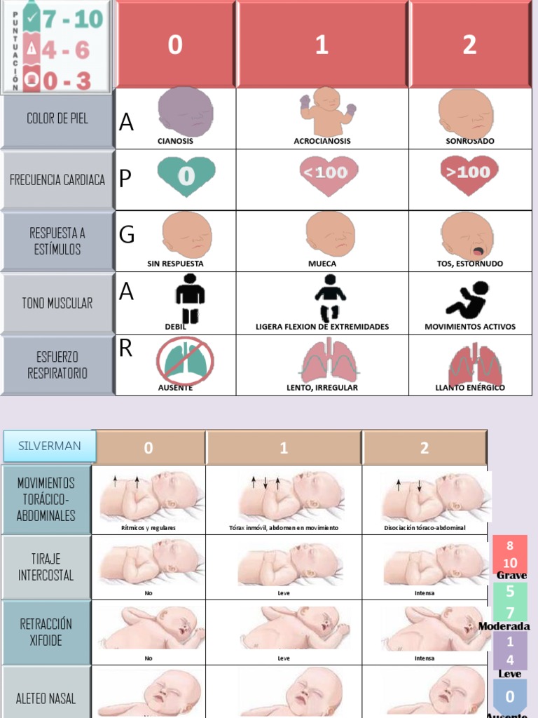 Escalas y Tablas para Libreta | PDF | Sistema respiratorio | Síntomas y