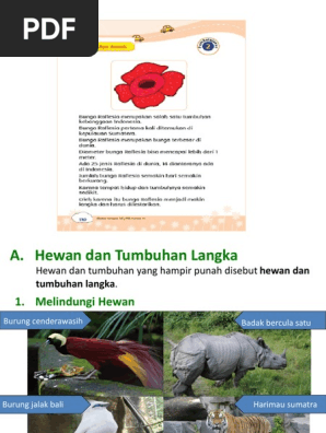 Tumbuhan Langka