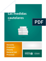 4 Las Medidas Cautelares