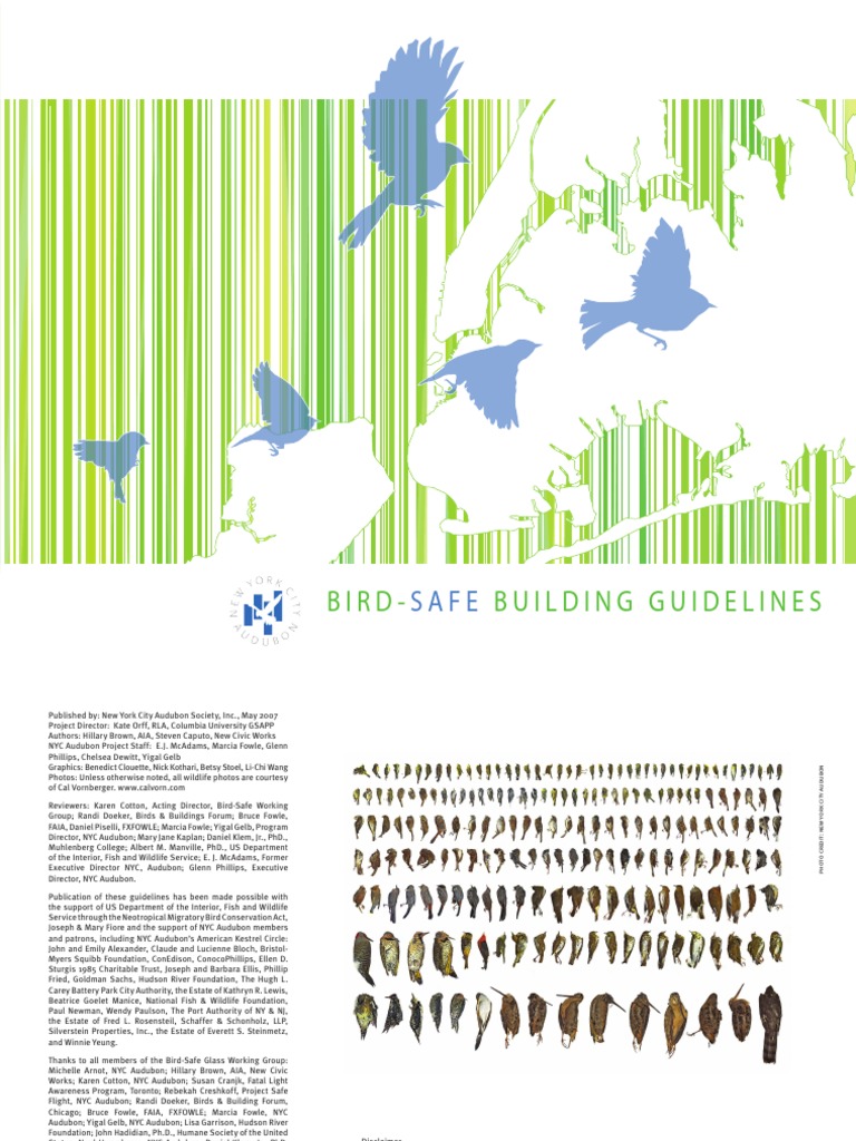 BirdSafeBuildingGuidelines PDF | PDF | Bird Migration | Green Building