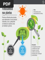 Fotossintese nas plantas.pdf