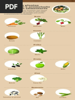 Órgãos Das Plantas Onde Ocorre a Acumulação de Reservas...