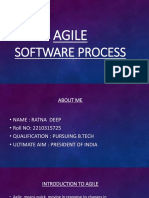 Agile: Software Process