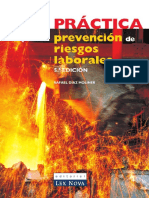 264480368-Guia-practica-para-la-prevencion-de-riesgos-laborales.pdf
