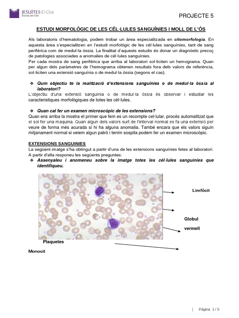 Activitat 6 | PDF