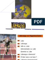 Guía esencial sobre liderazgo en organizaciones