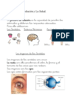 296007317-La-Relacion-y-La-Salud.pdf