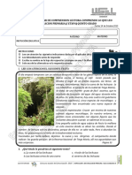 examendecomprensionlectoraquintogrado-131009011618-phpapp01.pdf