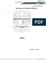 Audiencia Previa y de Conciliacion, Alegatos