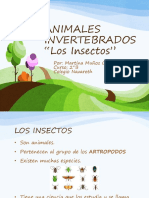 ANIMALES INVERTEBRADOS INSECTOS.pptx