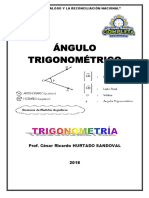 Ángulo Trigonométrico