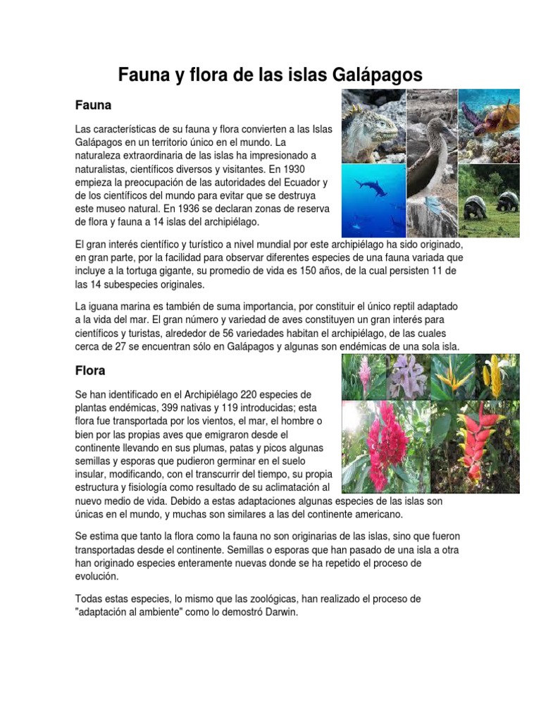 Fauna y Flora de Las Islas Galápagos | PDF