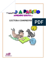 PASO A PASO LECTOESCRITURA.pdf