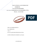 Citas Blibliograficas Luis PDF