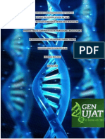 Comparación de PCR Ok